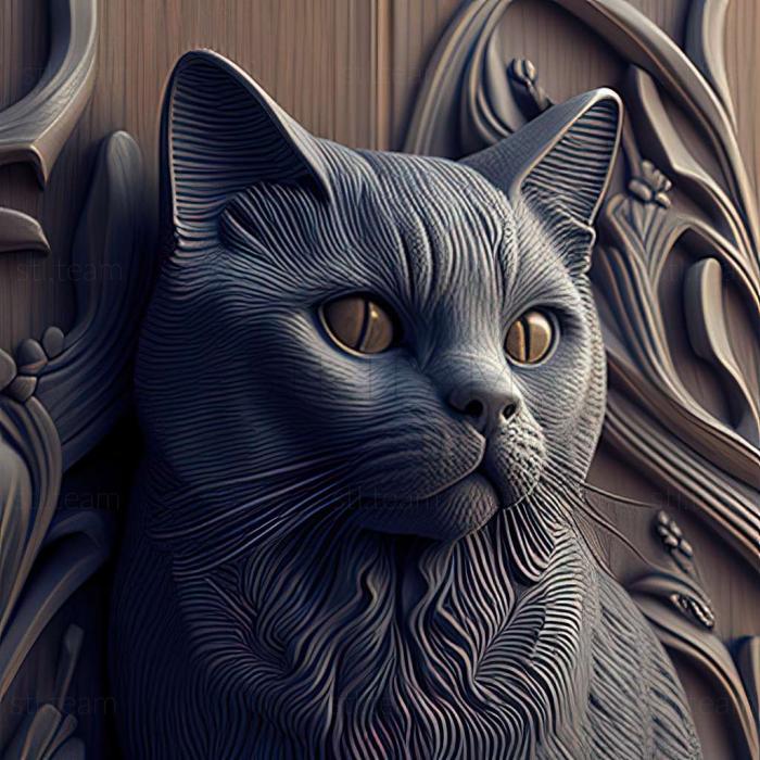 Chartreux cat